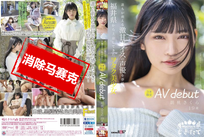 video poster